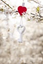 White wooden key hanging on a blossoming cherry branch. Love, spring symbol. Concept for Valentine`s Day, wedding, engagement. Royalty Free Stock Photo