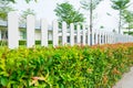 White wooden picket fence with green plant hedge. Royalty Free Stock Photo