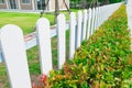 White wooden picket fence with green plant hedge. Royalty Free Stock Photo