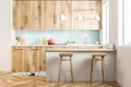 White wooden Scandinavian style kitchen close up Royalty Free Stock Photo
