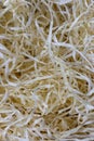 White wooden shavings background. Raw filings. Wooden decoration.