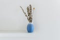 White wooden shelf with a blue and white vase with dried plants Royalty Free Stock Photo