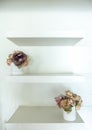White Wooden Shelf with Vintage Style Flowerpots on White Wall