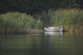 White wooden standing boat moored in the reeds on the lake on a summer day Royalty Free Stock Photo
