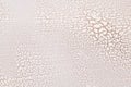 White wooden surface crazing. Royalty Free Stock Photo