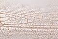 White wooden surface crazing. Royalty Free Stock Photo