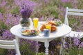 Food served on table in lavender field. Royalty Free Stock Photo