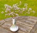 White woodland aster in small white flower vase in Fall