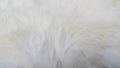 White wool texture Royalty Free Stock Photo