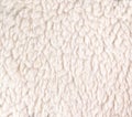 White woolly sheep fleece for background Royalty Free Stock Photo