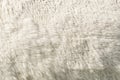 White woolly sheep fleece Royalty Free Stock Photo