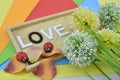 White word and black O on colourfull background.green, yellow and white artificial flower placed on right. red ladybird Royalty Free Stock Photo