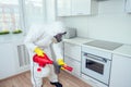 White worker spraying pesticide on induction hob Royalty Free Stock Photo