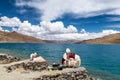 The white yaks in Yamdrok lake in Tibet Autonmous Region Royalty Free Stock Photo