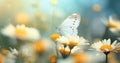 a white and yellow butterfly sitting near a flower Royalty Free Stock Photo