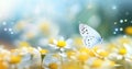 a white and yellow butterfly sitting near a flower Royalty Free Stock Photo