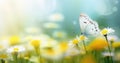 a white and yellow butterfly sitting near a flower Royalty Free Stock Photo