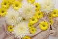 White and yellow chrysantemum flower, dahlia flat lay photo. Autumn flowers