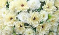 White and yellow color fake flower Royalty Free Stock Photo