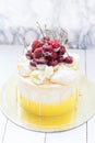 White and yellow colored cake with melted chocolate and fresh cherries on top Royalty Free Stock Photo