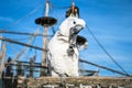 White yellow crested Cockatoo, Cacatua galerita, standing on an old wooden boat