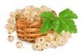 white or yellow currant in a wicker basket isolated on white background with full depth of field Royalty Free Stock Photo