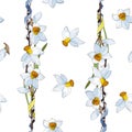 White yellow daffodils on a white background. Seamless pattern Royalty Free Stock Photo