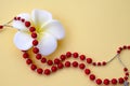 White with yellow flower and bright red coral beads with silver accents on a yellow background Royalty Free Stock Photo