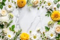White and Yellow Flowers Frame on Marble Royalty Free Stock Photo