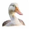 Realistic Hyper-detailed Goose Portrait In Flat Shading