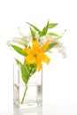 White and yellow lilies ' bunch Royalty Free Stock Photo