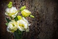 White yellow lisianthius on dark tone wooden texture