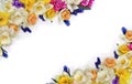 White and yellow narcissuses, violet hyacinths and blue flowers muscari on a white background with space for text. Top view