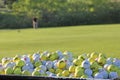 White and Yellow Practice Golf Balls at golf course hitting range Royalty Free Stock Photo