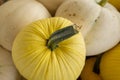 White and yellow pumpkins