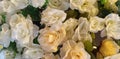 A Bouquet of white and yellow roses flower