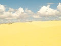 White or yellow sand dune desert and sunlight on hot summer