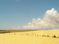 White or yellow sand dune desert and sunlight on hot summer
