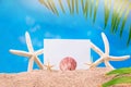 White and yellow starfish, sea shell with sheet of paper and palm trees on sand. Vacation, travel concept, holiday Royalty Free Stock Photo