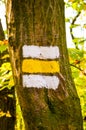 White and yellow trail marker painted on a tree in the forest. Tourist sign giving direction for the hikers during the hiking Royalty Free Stock Photo