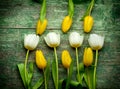 White and yellow tulips over green wooden table Royalty Free Stock Photo