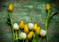 White and yellow tulips over green wooden table Royalty Free Stock Photo