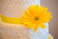 White and Yellow Wedding Reception Cake Royalty Free Stock Photo