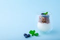 White yogurt and granola with fresh strawberries, blueberries, mint in glass Royalty Free Stock Photo