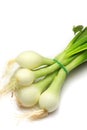 White young onions Royalty Free Stock Photo