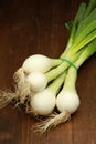 White young onions Royalty Free Stock Photo