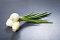 White young onions Royalty Free Stock Photo