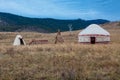 White Yurt - Nomad`s tent is the national dwelling of Kazakhstan people