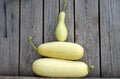 White zucchini! Royalty Free Stock Photo