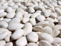 Whitebeans Royalty Free Stock Photo